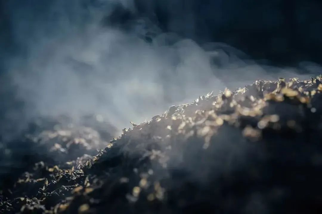 下到3米深的窖池,我發現了西鳳酒的秘密-字遊文化