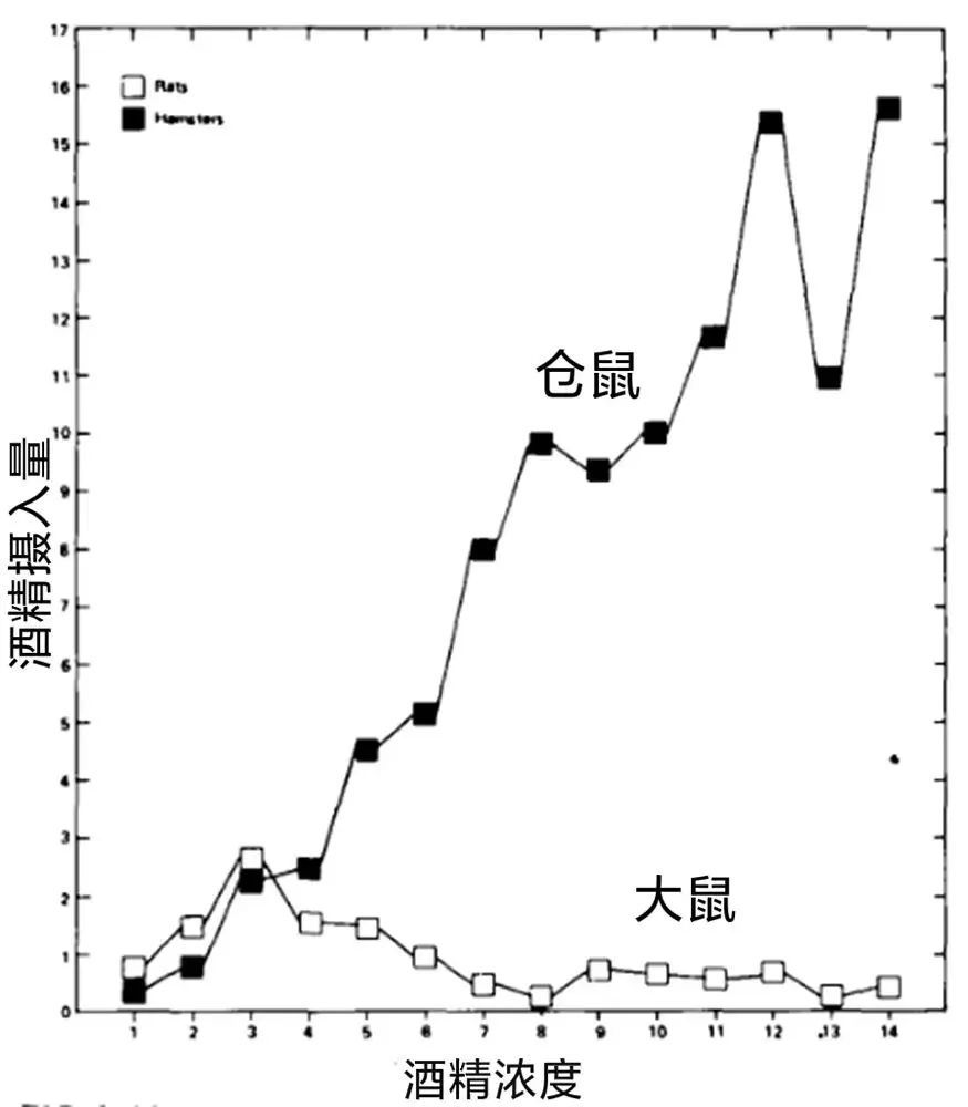 這個小東西,能把成年人喝趴下!-字遊文化