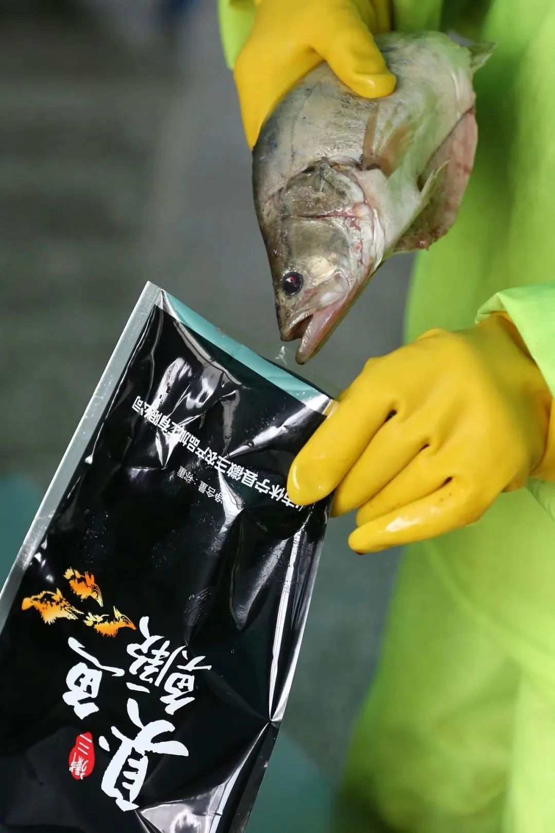 一條臭鱖魚,憑什麽能够代表安徽菜?-字遊文化