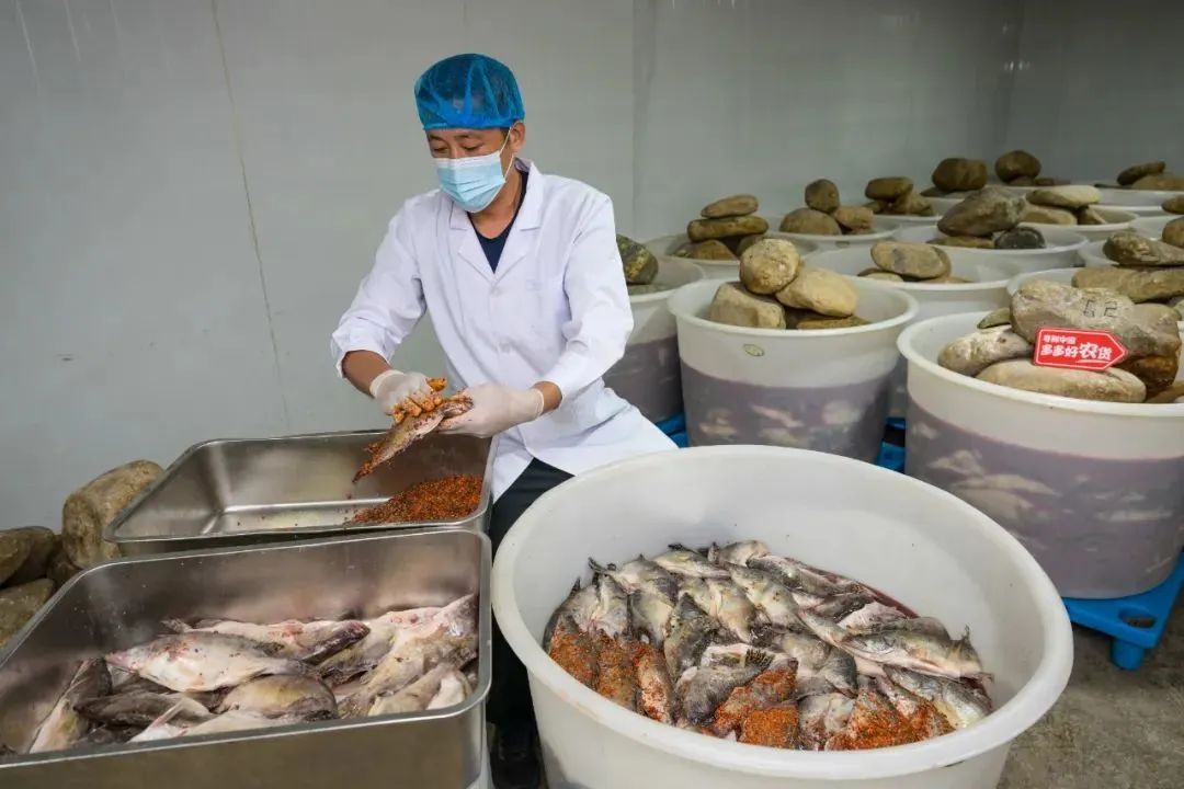 一條臭鱖魚,憑什麽能够代表安徽菜?-字遊文化