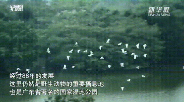 這座遍地是“金”的小城,香爆了-字遊文化
