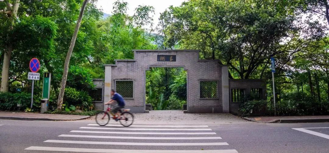 這座遍地是“金”的小城,香爆了-字遊文化