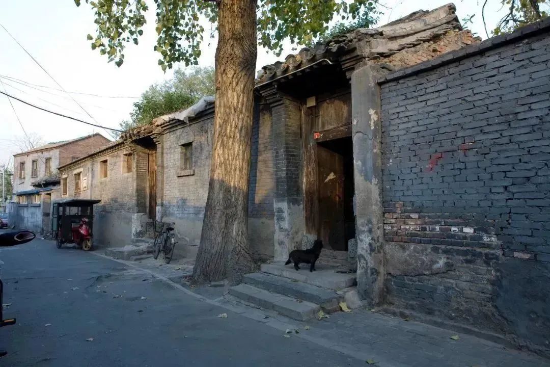 中國最會嘮的大爺,都坐在這兒了-字遊文化